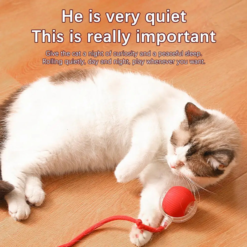 Cat Interactive Ball Toys Automatic Rolling Ball Faux Tail Rechargeable Smart Pet Electric Toy Dog Cat Training Imitate Mouse